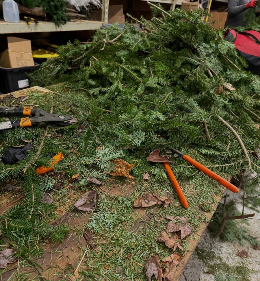 Fresh-cut greens being worked by hand