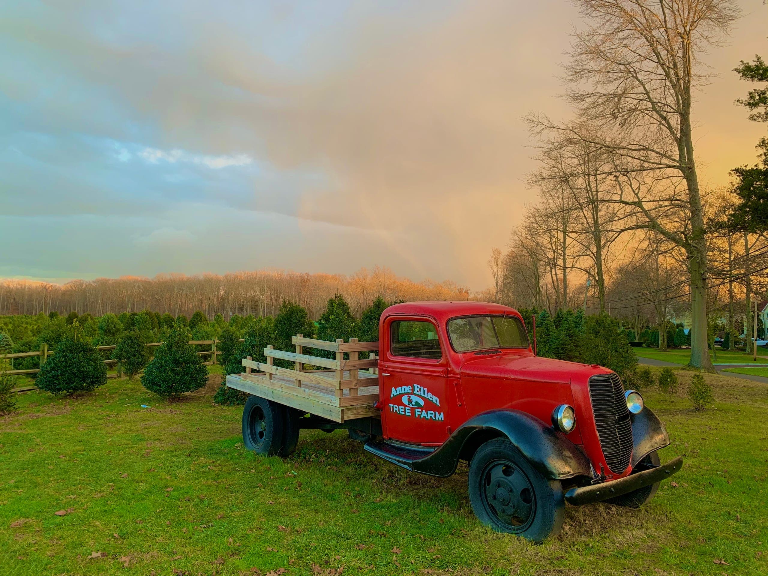 red truck tree fields