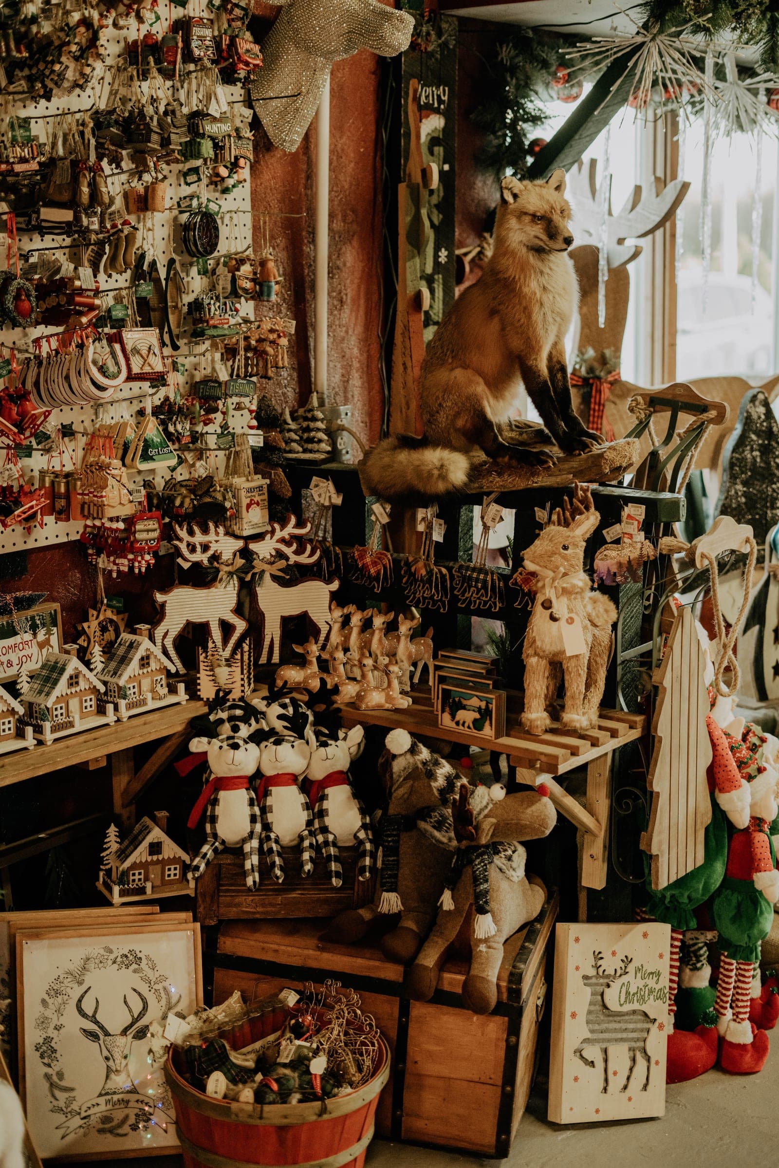 shop portrait 1