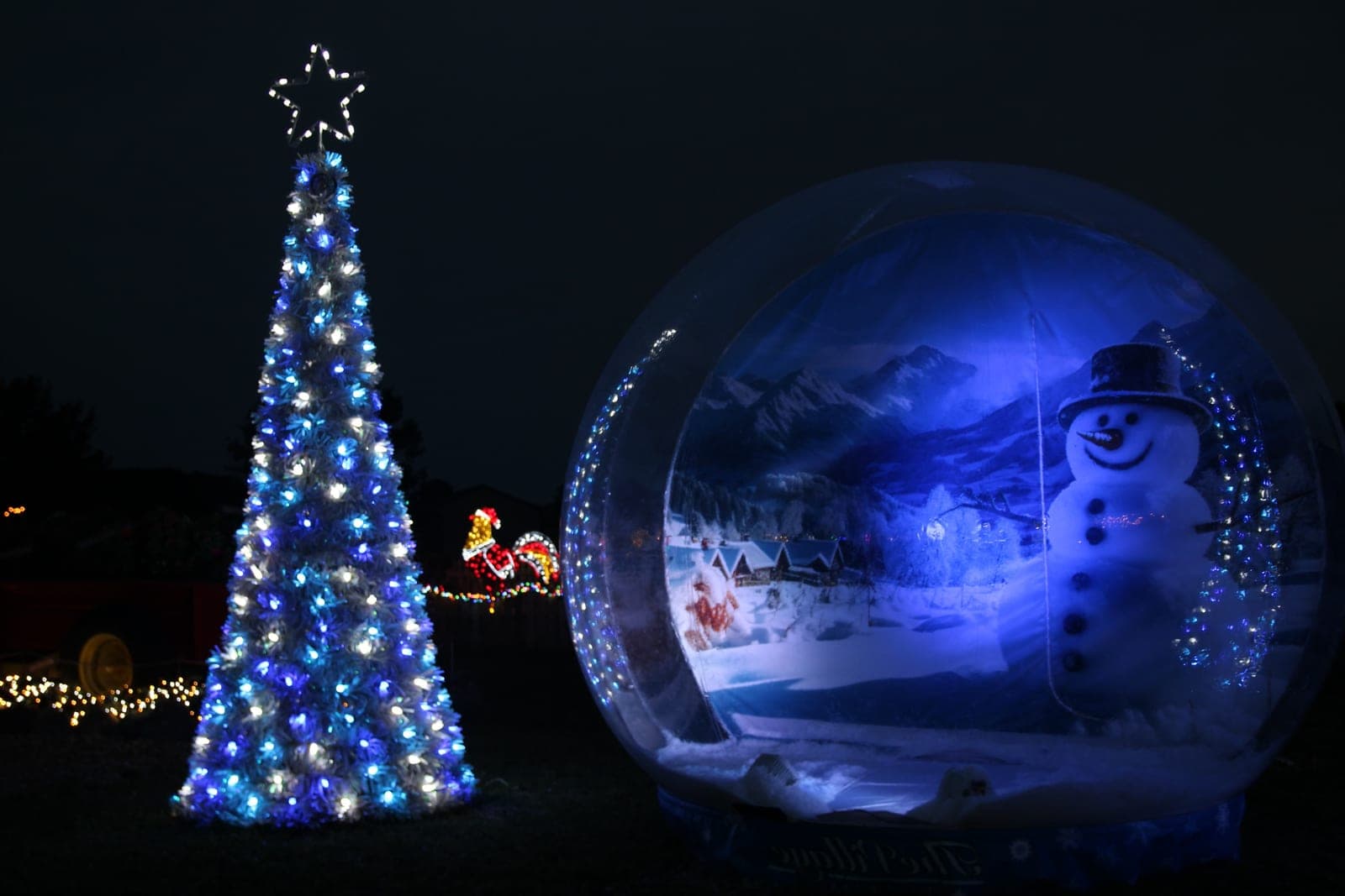 lit tree snow globe